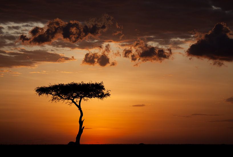 Sunset at the Masai Mara by Angelika Stern