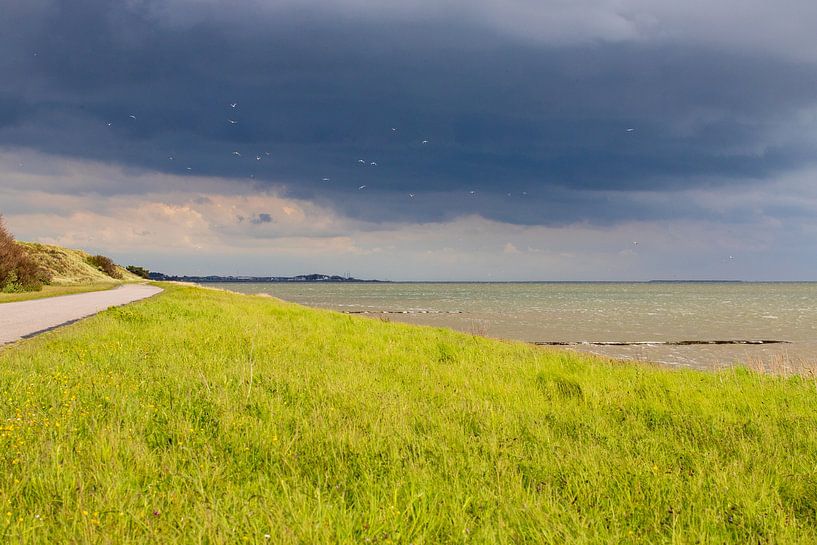 Sur le chemin du retour - Oost-Vlieland par Ton Tolboom