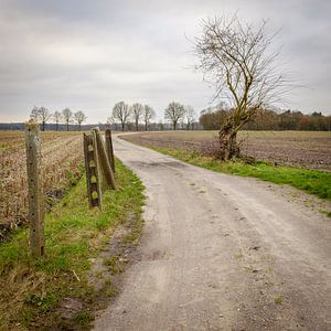 Winterspaziergang