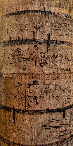 Palm met grafische tekening 2. Canarische Eilanden