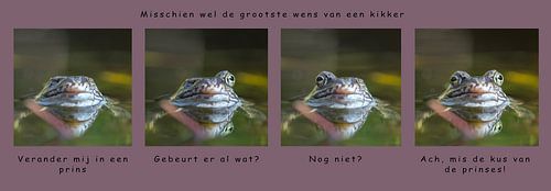 De grootste  wens van een kikker