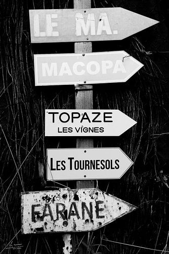 Zonnebloemen in Saint-Tropez