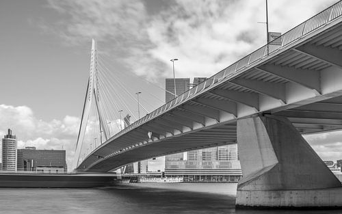 Rotterdam - Erasmusbrug