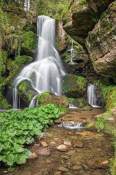 Lichtenhain waterval in Saksisch Zwitserland van Michael Valjak