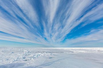 Expeditie Spitsbergen Eeuwig ijs van Gerald Lechner