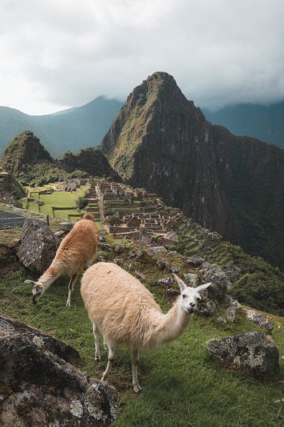 Machu Picchu by Hello Pompoyo
