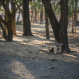 Repos sous les arbres sur Minimalistic Travel Photography by.Rieneke