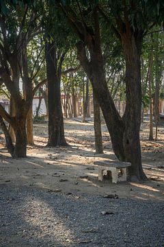 Resting place under trees by Minimalistic Travel Photography by.Rieneke