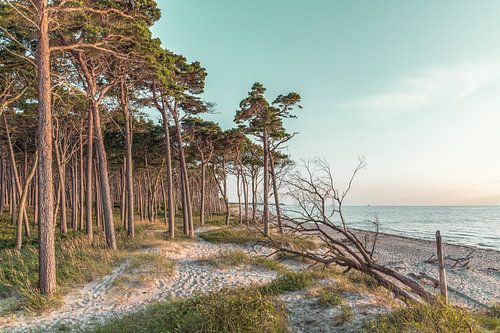 Ostseestrand von Steffen Gierok