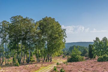 Le chemin du pasteur sur Dieter Rabenstein