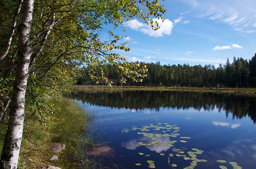 "Tranquility" in Nuuksio National Park, Sweden