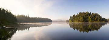 Steigende Sonne mit Nebel