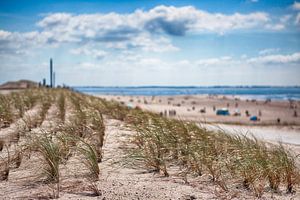 Strand Rotterdam