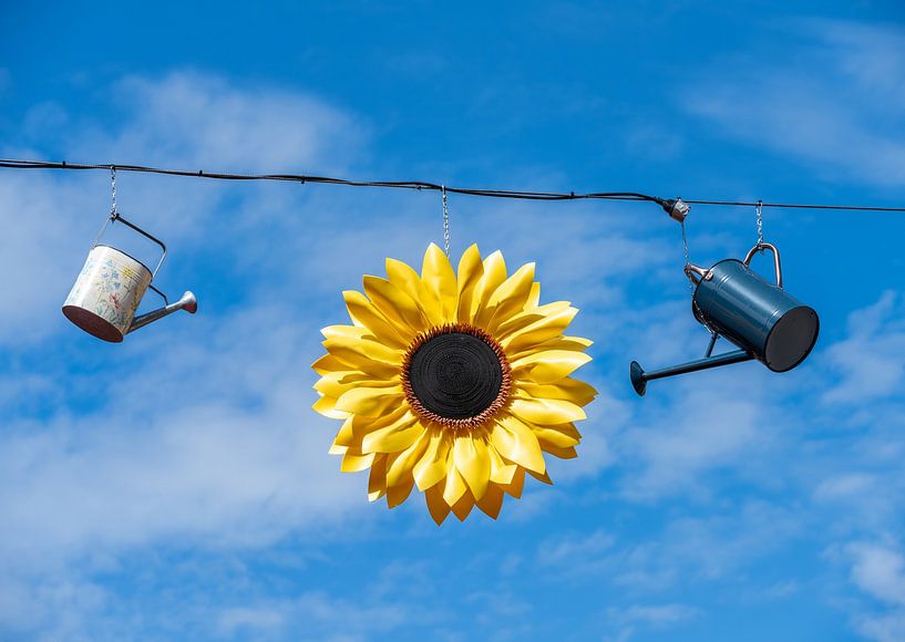 Sunflowers and old watering cans under a blue sky by ManfredFotos