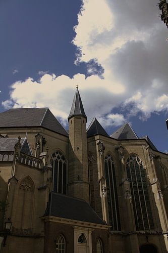 Toerist in eigen land