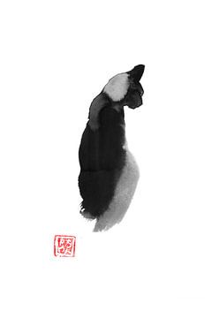 black cat back sur Péchane Sumie
