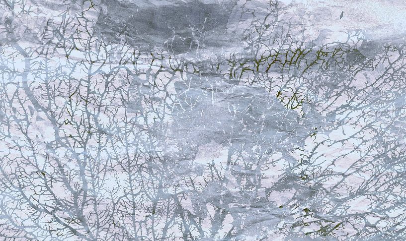 Scandinavian forest II by Mad Dog Art