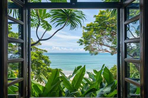 uitzicht uit het raam