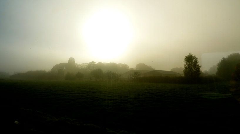 misty sun van colinear ammit