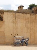 Paardenwagen