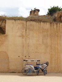 Paardenwagen von Iris Ritzen