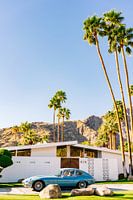 Palm Springs Rit VII