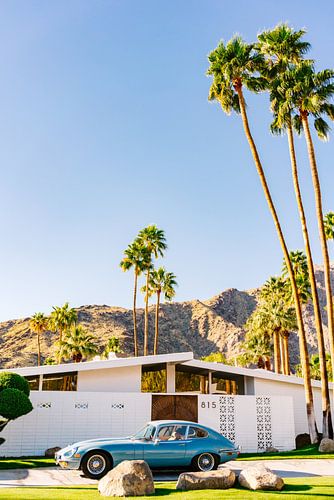 Palm-Springs-Fahrt VII