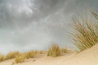 Donkere lucht boven de duinen van Gonnie van de Schans thumbnail