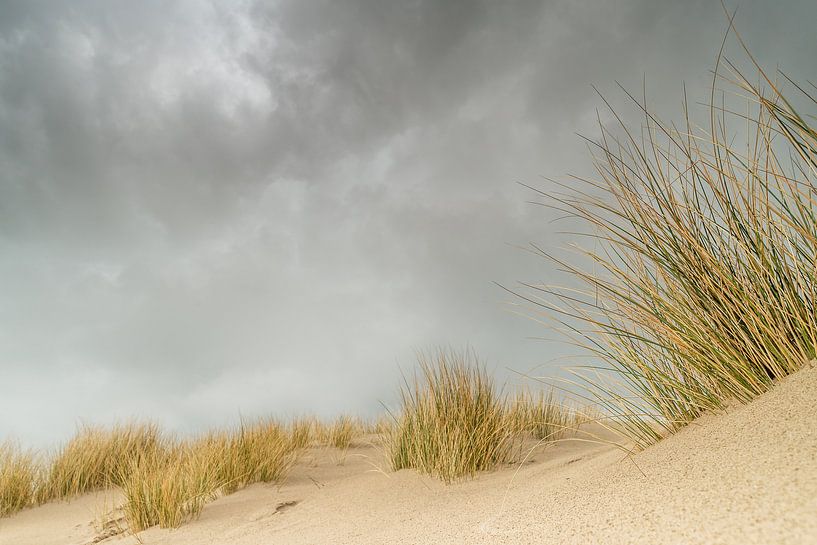 Ciel sombre sur les dunes par Gonnie van de Schans