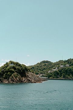 Spaans eiland bij de kust van San Sebastian van Fotograaf Elise