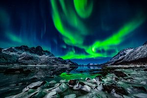 Aurore boréale sur un fjord gelé - Vesterålen et Lofoten, Norvège