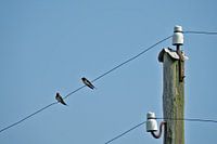 Mehr als ein Schluck