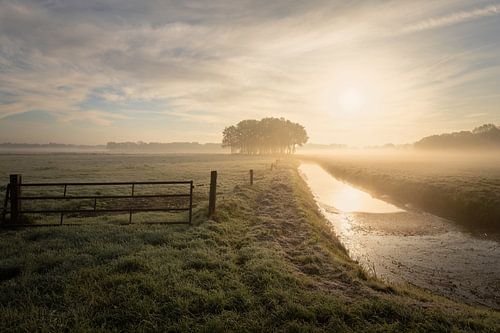 River Westerborker Stream on a misty morning