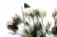 Tulpen 2022 van Andreas Wemmje thumbnail