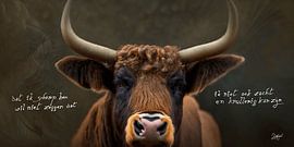 (Dutch) "Scottish Highlander, Sharp and Fluffy" by Ludifant