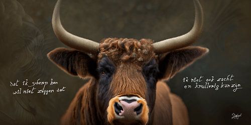 (Niederländisch) "Schottischer Highlander, scharf und flauschig"