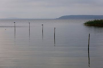 Usedom, Achterwasser van Thomas Jäger