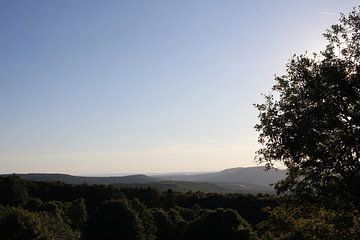 Vision in the direction of Hesse by Martin Flechsig