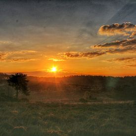 Sonnenaufgang von Berrie