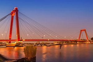 ROTTERDAM Willemsbrug le soir