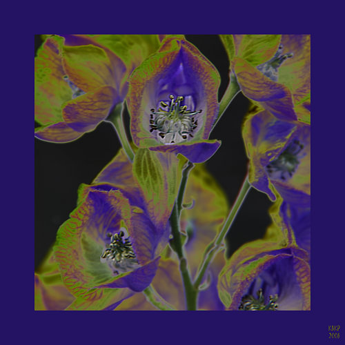 bloemen