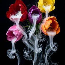 Vluchtige Bloei van Retrotimes