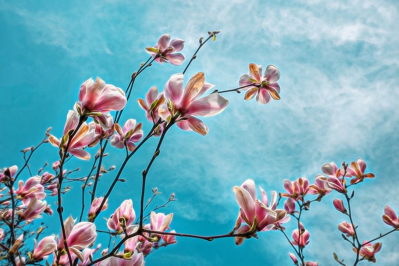 Blühende Magnolien im Frühling von Chi