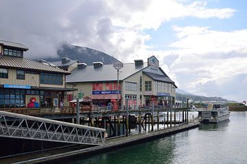 Salmon landing by Frank's Awesome Travels