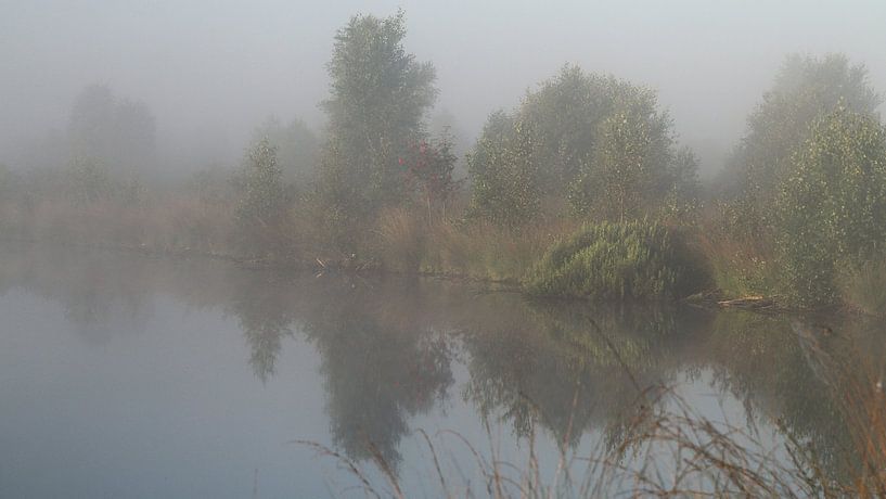 Engbertsdijksvenen 7 by Joop de Lange