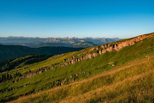 Nagelfluhkette in de Allgäu van Hochgrat
