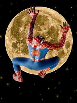 Spiderman op de weg naar de maan  van Christine Nöhmeier