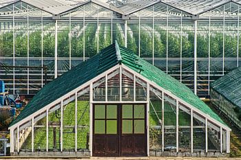 Oude Westlandse kas staat voor een moderner warenhuis