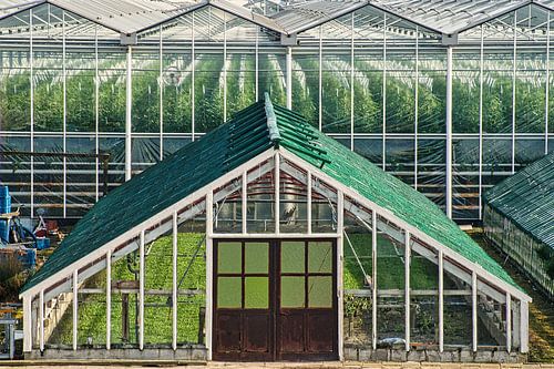 Old Westland greenhouse stands for a more modern department store