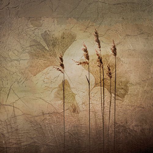 Zonsondergang met riet en ginkgo. Aardetinten.